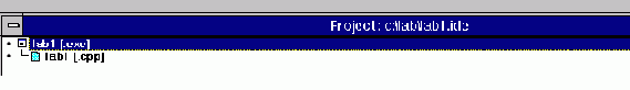 Ввод, редактирование и запуск Windows-приложения