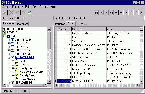 SQL Explorer и словарь данных